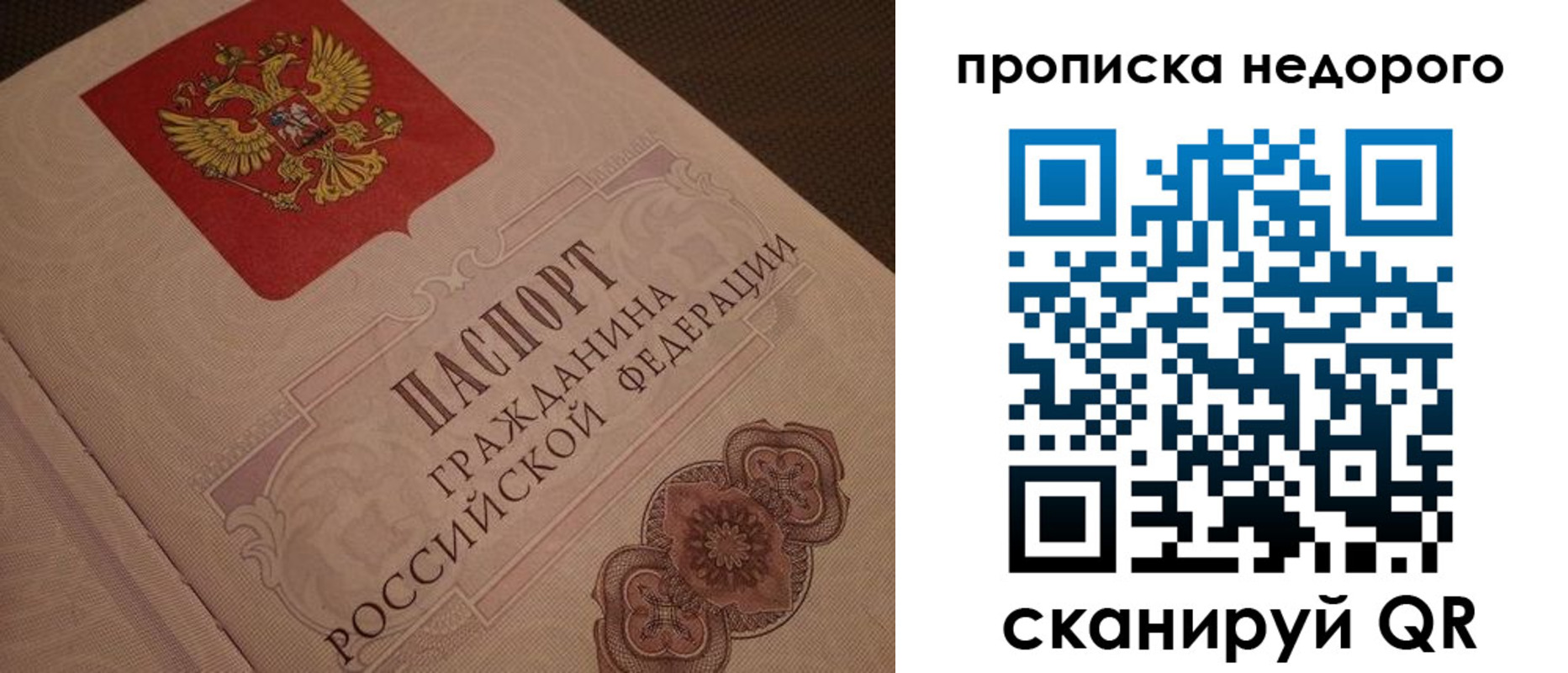 прописка поиск в Альметьевске